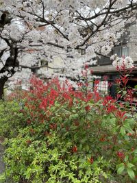 結婚相談所での出会いは結婚へと繋がる第一歩