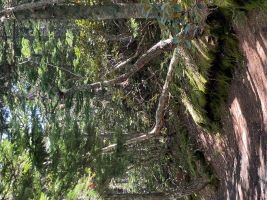 男性会員様の理想とは。