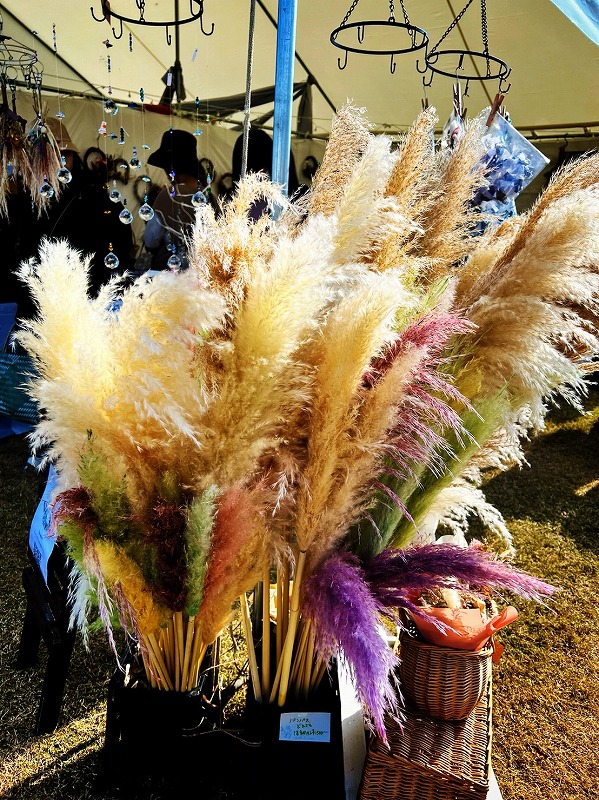 婚活は自分の為に始める