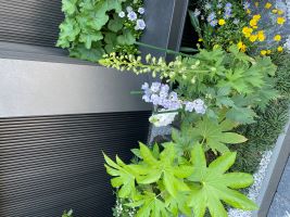 男性医師の方の婚活を応援します