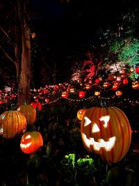 将来を語る交際中