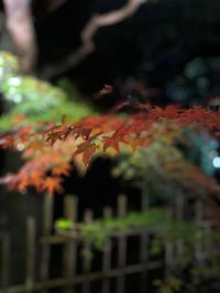 今年も後残り1ヶ月となりました。