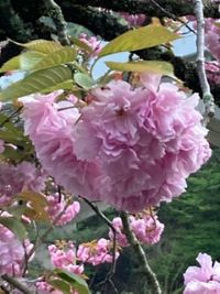 春の予感を感じる季節です。