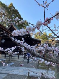 交際したら、その方の良いところを見つけよう