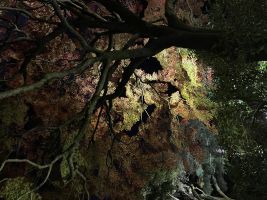 蛍の季節です。