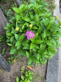 交際中の温度差