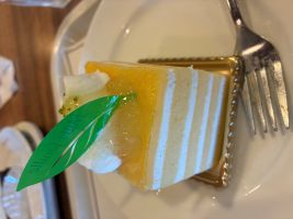 デート回数は多い方が成婚へと繋がる