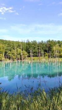 好きになるって難しいかな