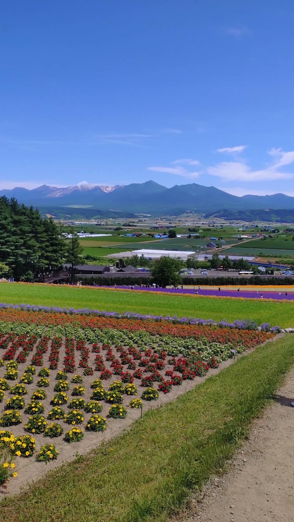 夏休みの過ごし方