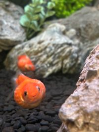 交際中のお相手も家族だと思ってお付き合いして欲しい