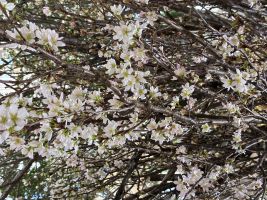 成婚へと繋がる結婚相談所