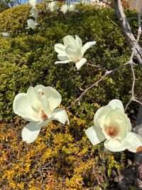 出会いから交際へと進む