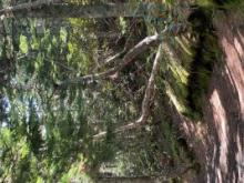 男性会員様の理想とは。