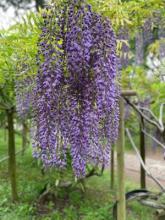 再婚の方の婚活