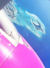 憧れの新婚旅行