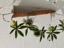 心が通じ合うお相手が一番大事です。