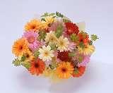 ホームページの不具合で申し訳ございません。