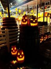 秋の季節になりました