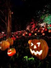 将来を語る交際中