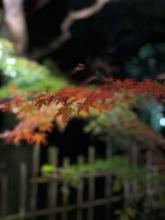 今年も後残り1ヶ月となりました。