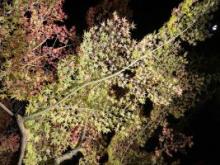 夢心地の交際期間