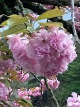 春の予感を感じる季節です。