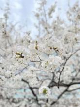 交際中にできるだけ多くデートして欲しい