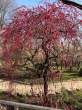 それぞれの好みの違い