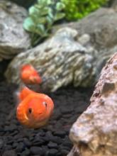 交際中のお相手も家族だと思ってお付き合いして欲しい