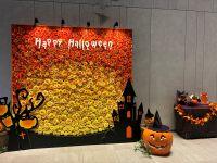 明日は大阪淀川花火大会