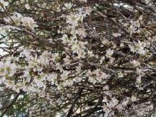 成婚へと繋がる結婚相談所