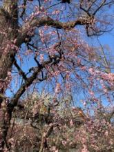 4月になりお問合せが多くなりました。