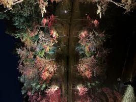 結婚してから恋愛してもいい