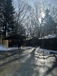 結婚後の約束
